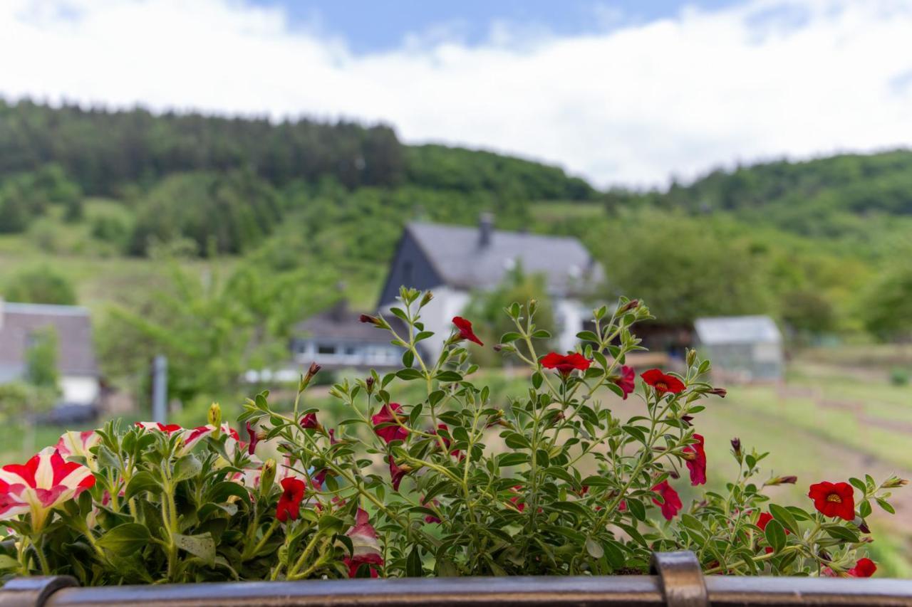 Ferienwohnungen Schorn Burg (Bernkastel-Wittlich) Exterior foto